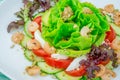 Prawn salad with cucumber, avocado, lettuce, seeds, tomatoes Royalty Free Stock Photo