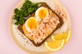 Prawn or Shrimp And Boiled Egg Open Face Sandwich On Rye Bread Royalty Free Stock Photo