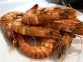 Prawn or tiger shrimp grilled on white plate. selective focus Royalty Free Stock Photo