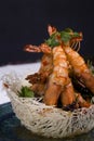 Prawns Royalty Free Stock Photo