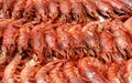 Prawns Royalty Free Stock Photo