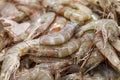 Prawns on ice, shrimp fresh raw whole chilled, at the fish market Royalty Free Stock Photo