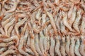 Prawns, seafood, white prawns Gambas blancas de Isla Cristina, Huelva