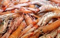 Prawns and shrimps for sale in fish market in Italy Royalty Free Stock Photo