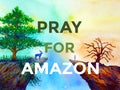 Pray for amazon forest and animal watercolor painting illustration design hand drawing