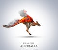 Pray For Australia. Australia wildfire killed half a billion animals.