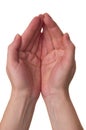 Pray hands