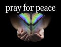 Pray for Peace Butterfly Release Concept