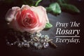 Pray The Rosary everyday concept with text message, The Catholic rosary beads, Jesus Christ holy cross crucifix, and a pink rose.