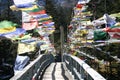 Prayer flags across a bridge Sikkim, India