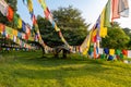 Prayer flags hanging at garden in Lumbini, Nepal Royalty Free Stock Photo