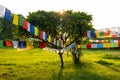 Prayer flags hanging at garden in Lumbini, Nepal Royalty Free Stock Photo