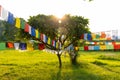 Prayer flags hanging at garden in Lumbini, Nepal Royalty Free Stock Photo