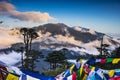 Prayer flags hanging on Thrumshing la , the 3750m pass , eastern Bhutan.