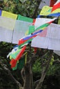 Prayer Flags Blowing in the Wind Royalty Free Stock Photo
