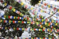 Prayer flags seen hanging ans flying in a hilly area in nepal