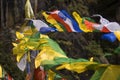 Prayer flags, Taktshang Goemba, Bhutan Royalty Free Stock Photo