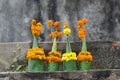 A prayer offering at the Temple Royalty Free Stock Photo