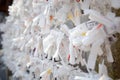 Prayer Papers Tied to Rope in Japanese Shrine - Spiritual Tradition and Sacred Offerings