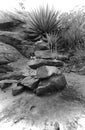 Prayer rock at sedona vortex