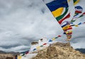 Prayer tibetan flags near the Namgyal Tsemo Monastery in Leh, La Royalty Free Stock Photo