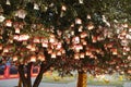 Prayer tree at Guan Yu Temple Royalty Free Stock Photo