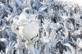 Prayer in Wat Rong Khun temple Royalty Free Stock Photo