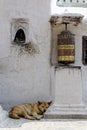 Prayer wheel and dog sleeping at Bothnath stupa in Kathmandu Royalty Free Stock Photo