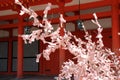 prayers on paper - heain shrine - kyoto - japan