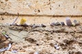 Prayers in the Western Wall, Wailing Wall, Jerusalem, Israel Royalty Free Stock Photo