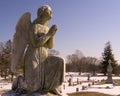 Praying Angel in cemetery