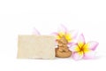 Praying elephant clay sculpture with blank paper card and plumeria flower