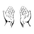 Praying Hands Royalty Free Stock Photo