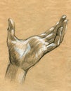 Praying Hands drawing illustration realistic sketch Royalty Free Stock Photo