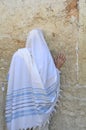 Praying Jewish, Jerusalem Royalty Free Stock Photo