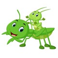 Praying mantis cartoon