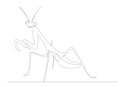 praying mantis drawing in one continuous line, isolated Royalty Free Stock Photo