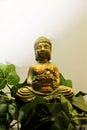 BUDDHA, meditation, peace, prayer,