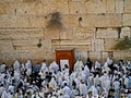 Praying at the Western Wall Royalty Free Stock Photo