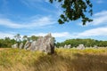 Pre celtic standing granite stones or menhirs in Carnac