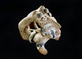 Pre Columbian Acrobat figure Royalty Free Stock Photo