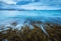 A pre-dawn photograph of icy waves crashing on the rocks and seaweed Royalty Free Stock Photo