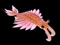 A pre-historic marine creature - anomalocaris Royalty Free Stock Photo
