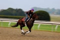 Pre Race Workouts at Keeneland Race Track