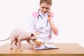 Pre-registration by phone. A female veterinarian in a white coat with a stethoscope makes a journal entry. Table and a Royalty Free Stock Photo