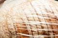 Pre sliced bread with flour in a simple see through transparent plastic bag container, tightly wrapped, macro, closeup Royalty Free Stock Photo