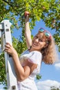 Pre-teen smiling Caucasian girl stretching to ripe red apple while standing ladder under apple tree