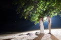 Pre wedding outdoor romantic