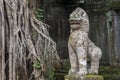 Preah Kahn temple Siem Reap, Angkor Wat, Cambodia