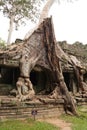 Preah Khan temple in Angkor in Siem Reap